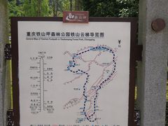 -铁山坪森林公园