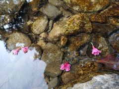 -福清灵石山国家森林公园