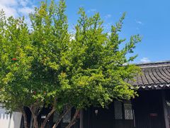 -王阳明故居