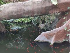 -北京植物园-展览温室