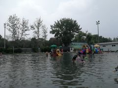 泳池-柳浪游泳场