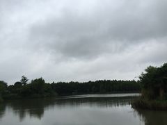 iphone_upload_pic-梁鸿国家湿地公园
