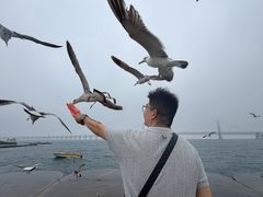 -星海广场