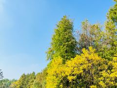 -梁鸿国家湿地公园