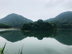 景点-广州市石门国家森林公园