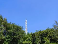 -东莞植物园