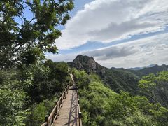 -大岭沟猕猴桃谷风景区