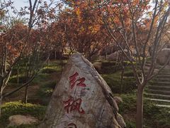 -广州市帽峰山景区