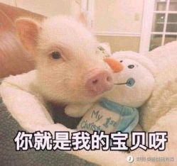 -龙文宝贝上门婴儿理发满月剃胎毛(浦东店)