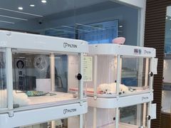 -翊宠yipet猫狗购宠庄园犬舍•猫舍