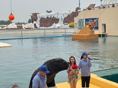 -秦皇岛乐岛海洋王国