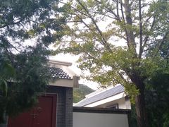 -阳台山自然风景区