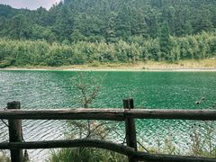 -武陵山森林公园