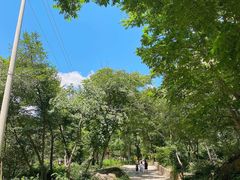 -湖洞水自然风景区