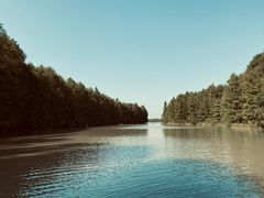 -上海海湾国家森林公园