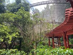 -新加坡飞禽公园