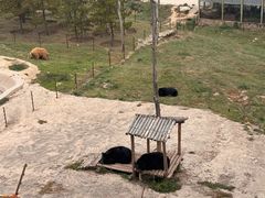 -青藏高原野生动物园