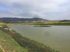 -光明小镇欢乐田园