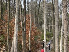 -青龙山国家森林公园