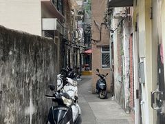 -洪馨椰子