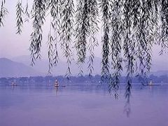 -四宜糕团店(南大街店)