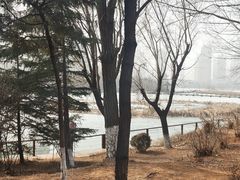 -前关湿地公园