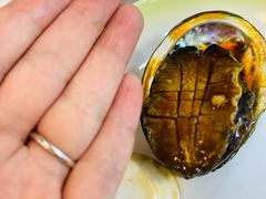 -来之顺海鲜菜馆·青岛菜·始于1993(栈桥店)