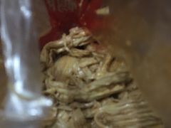 -绝味鸭脖(东直门店)