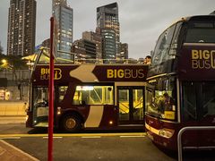 -Big Bus Tours 敞篷观光巴士