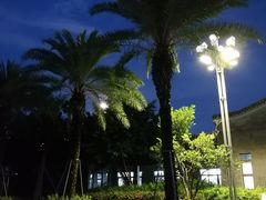 -宝安西湾红树林湿地公园