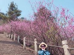 -天台山赤城山景区