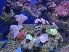 -北海·海洋之窗