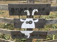 -前小桔亲子创意农场·草莓采摘·露营烧烤