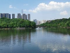 -重庆彩云湖湿地公园