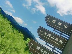 -大姆山草场