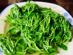 -下塘街25号农家菜馆(新场店)