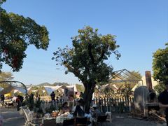 -长洲岛都市农业公园