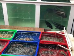 -南蚝小贝海鲜特色餐厅(南澳岛店)