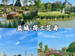 -荷兰花海