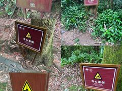 -凤栖山