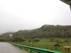 -大水川景区