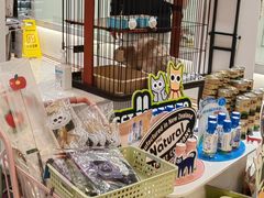 -1013 PET SHOP精品宠物商店(丁香店)