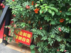 -左撇子私房面