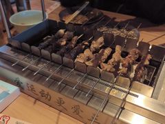 -邢氏老太太烤串(北兴街店)