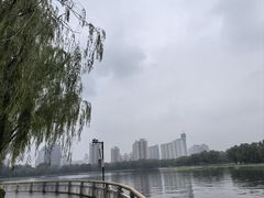 -莲花池公园