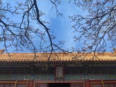-故宫博物院(故宫)
