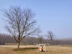 -黄海国家森林公园