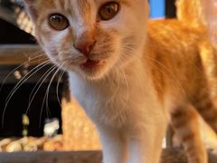 -田德能咖啡博物馆