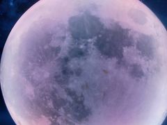 -天津梵高星空艺术馆(天河城旗舰店)