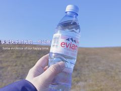 -荷兰花海